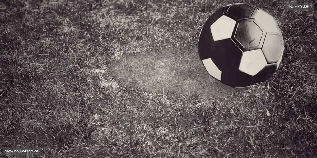 <strong>17c黑料</strong>奔赴影视行业的新征程，用热爱与专业创作出更多传世经典之作🌈